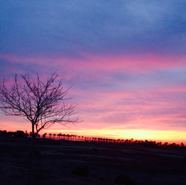 Arizona Sunrise 2014