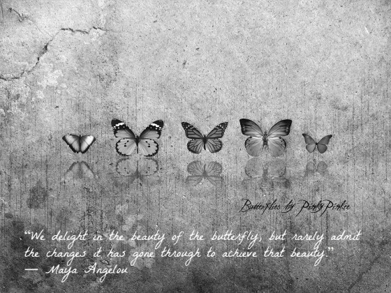 butterflies-quote